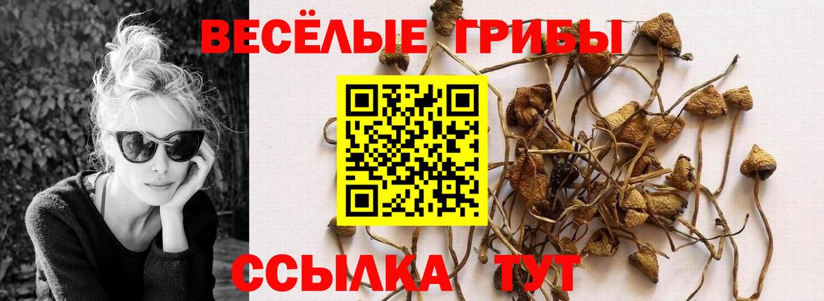 Псилоцибиновые грибы мицелий  Галлюциногенные грибы мицелий  Вход с VPN  Рязань 