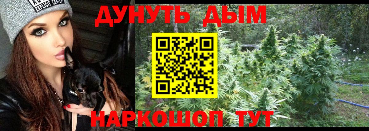 Каннабис SATIVA & INDICA Рязань